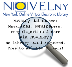 NOVELny Logo